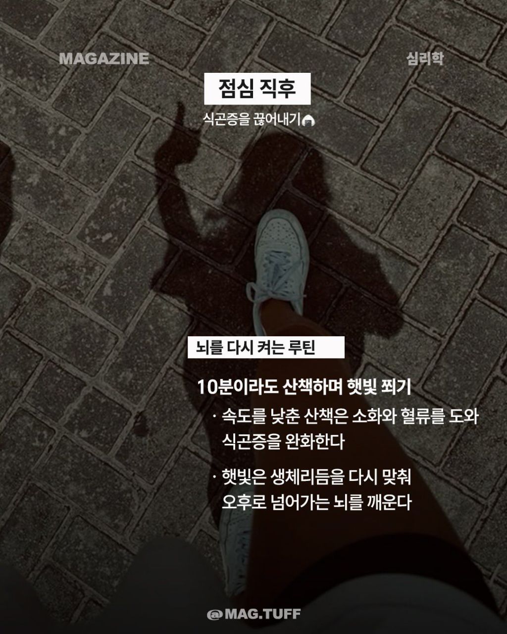 2026년부터 갓생 사는 뇌리셋 루틴 | 인스티즈