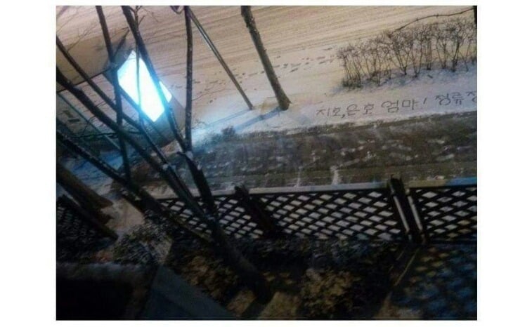 네이트판 4대 모두의 이상형 남편(feat.귀여움폭팔,사랑꾼들 주의) | 인스티즈