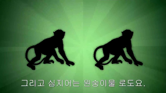 남자와 여자가 야동볼때의 가장 큰 차이점.jpg | 인스티즈