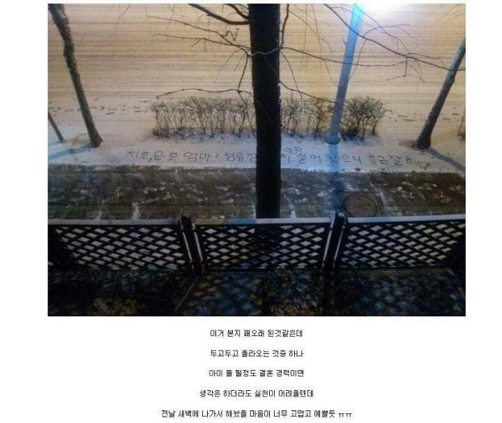 네이트판 4대 모두의 이상형 남편(feat.귀여움폭팔,사랑꾼들 주의) | 인스티즈