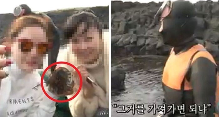인간극장 촬영도중 제주도해녀할머니가 채취한 전복을가져가는 중국여성2명 | 인스티즈