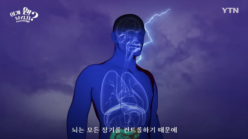 혈당 관리 안하면 빨리 늙는 이유.jpg | 인스티즈