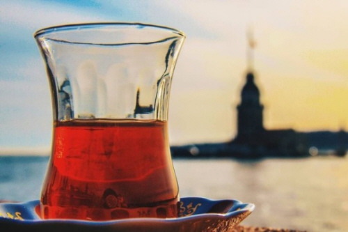  살아 있어야 할 이유 | 인스티즈