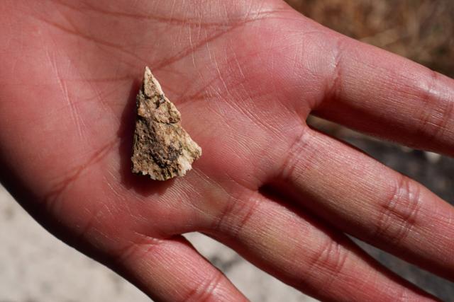 "썩은 마대자루 속에 아버지가···" 무안공항 제주항공 참사 유족의 절규 | 인스티즈