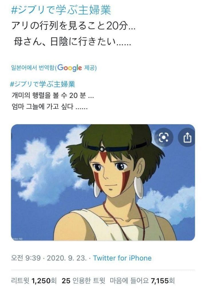 일본 주부들의 지브리 밈.jpg | 인스티즈