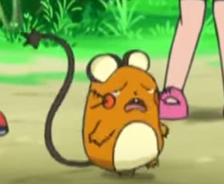 포켓몬스터 작붕 클라스.jpg | 인스티즈