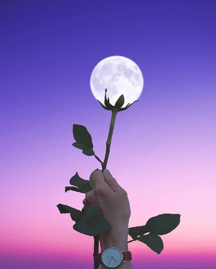 다시 봄이 오면 너는 또 봄일까 | 인스티즈