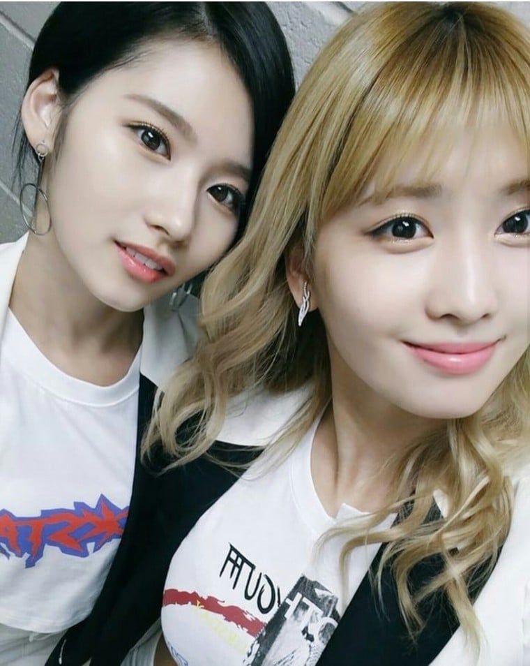 트와이스) 일본에서도 희귀하다는 사나의 성씨에 대해 알아보자 | 인스티즈