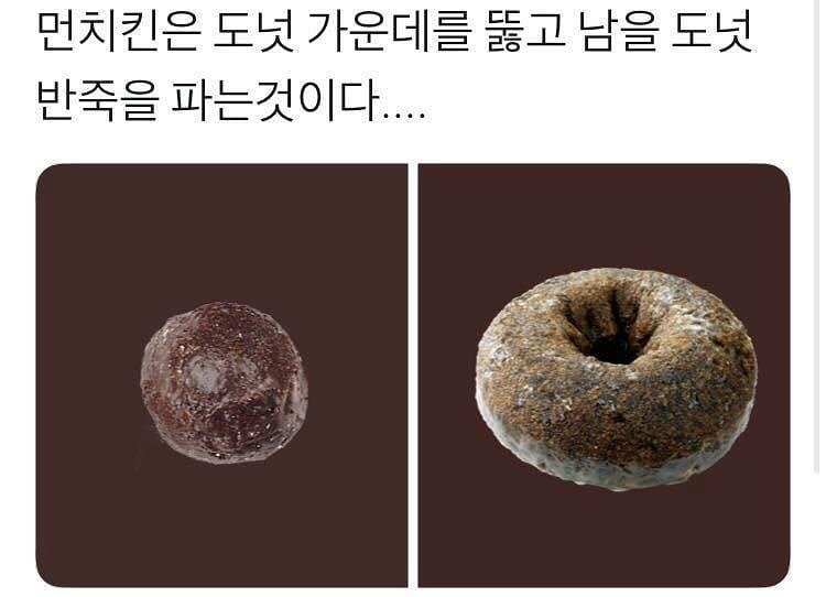 이 도넛을 먼치킨이라고 부르는 이유 | 인스티즈