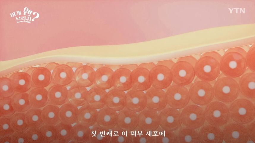 혈당 관리 안하면 빨리 늙는 이유.jpg | 인스티즈