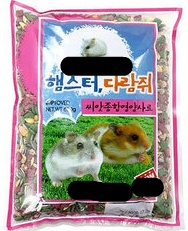 햄스터에 대해 사람들이 오해하는 사실 | 인스티즈