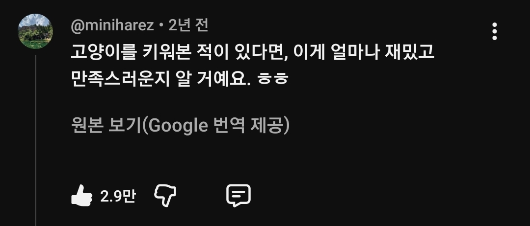 집사들이 은근히 좋아하는 장난 | 인스티즈