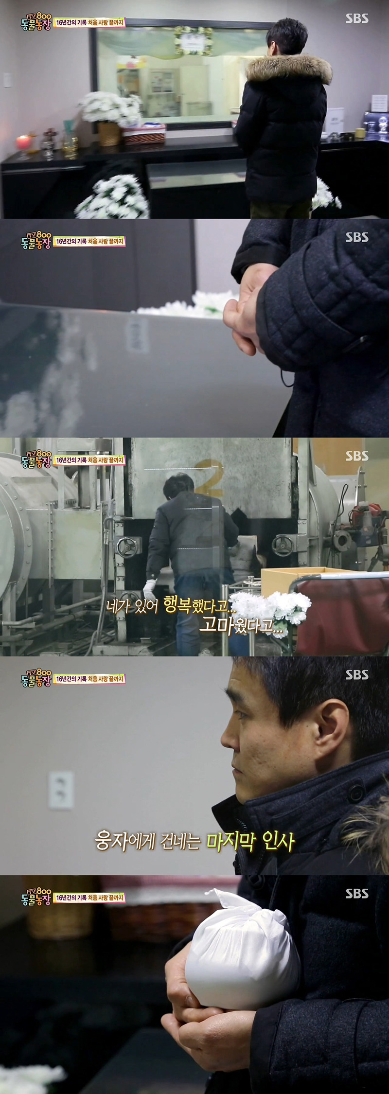 동물농장이 낳은 최고의 스타견 웅자 근황 | 인스티즈