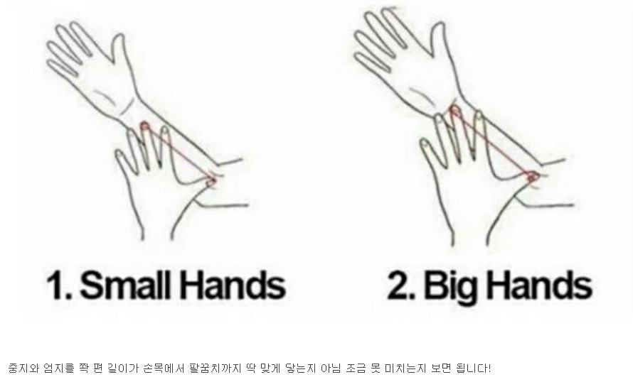 내 손은 큰 손? 작은 손? 확인방법.jpg | 인스티즈