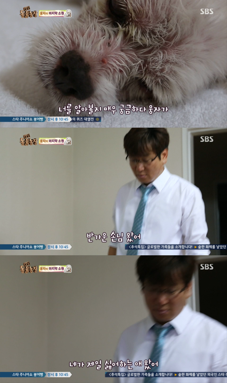 동물농장이 낳은 최고의 스타견 웅자 근황 | 인스티즈