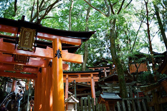 흔한 일본 교토의 풍경들 ㄷㄷ | 인스티즈