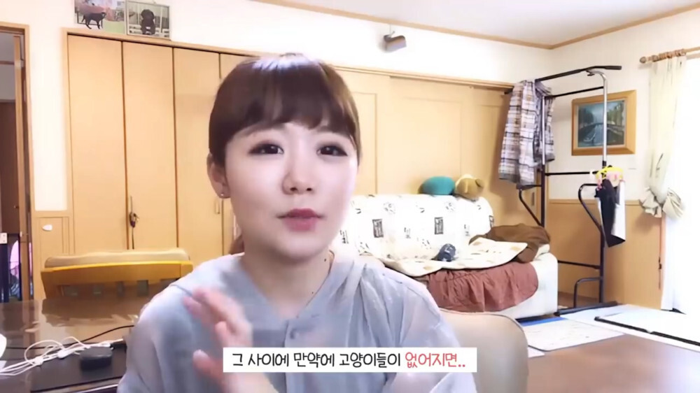 [스압주의] 일본인 캣맘 유튜버 1편 - 포크레인으로 마당 갈아엎음 | 인스티즈