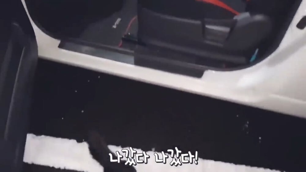 [스압주의] 일본인 캣맘 유튜버 1편 - 포크레인으로 마당 갈아엎음 | 인스티즈