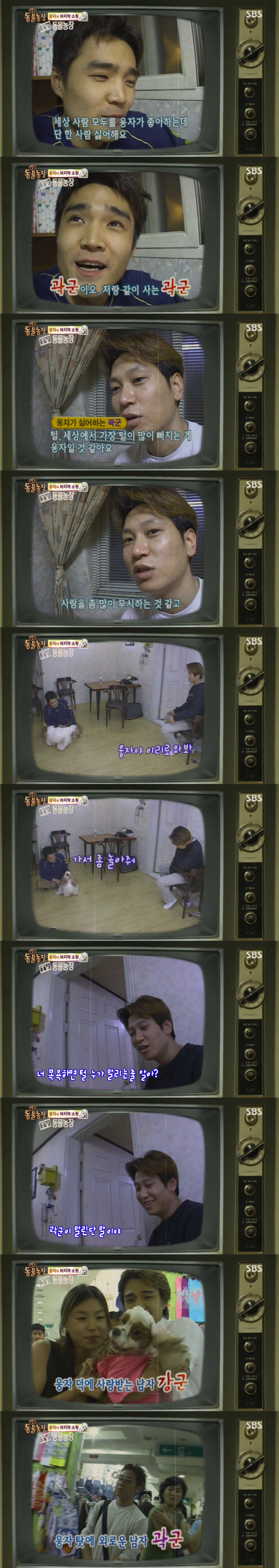 동물농장이 낳은 최고의 스타견 웅자 근황 | 인스티즈