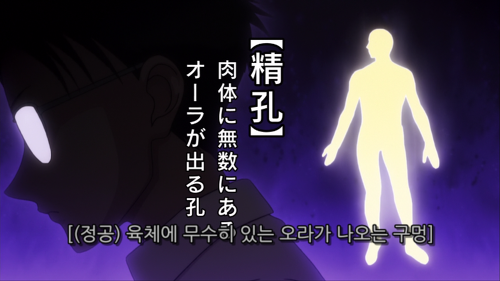 헌터X헌터 '넨'에 대해 araboza 상 (데이터 주의) | 인스티즈