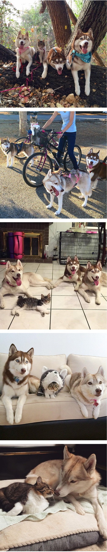 오빠가 셋이나 있는 여동생 | 인스티즈