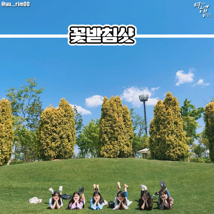 여행 갈 때 꼭 찍어야 한다는 단체 포즈 모음! | 인스티즈