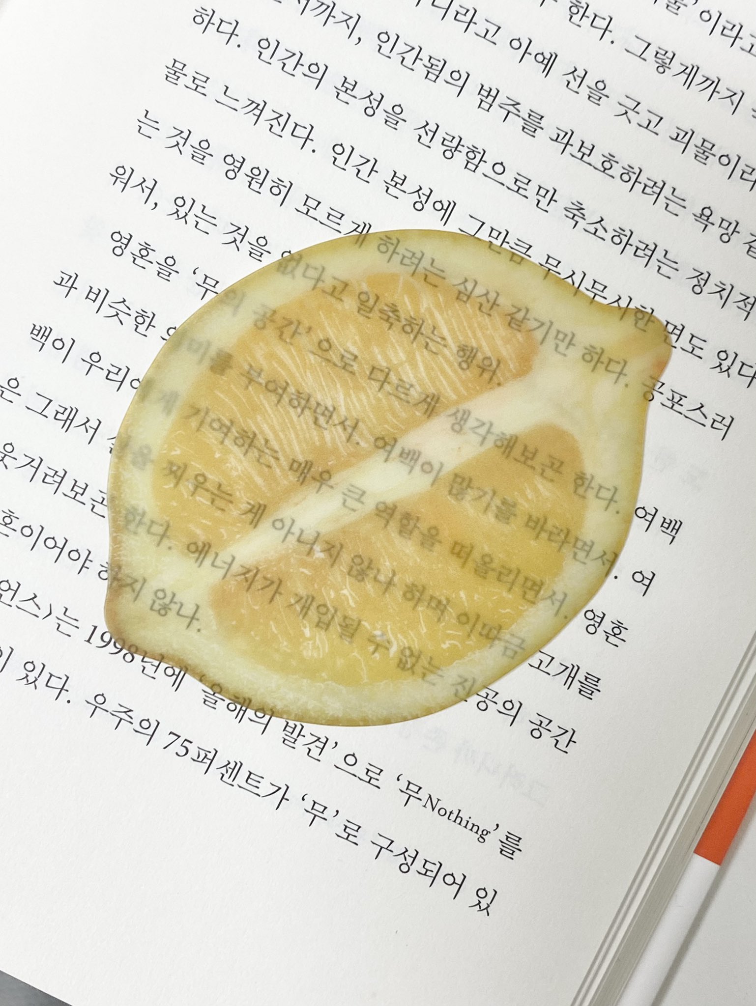 예쁘고 신기한 옥토 작가님 책갈피 모음 | 인스티즈