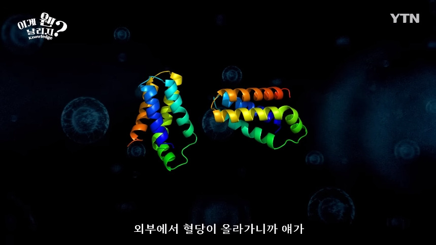 혈당 관리 안하면 빨리 늙는 이유.jpg | 인스티즈