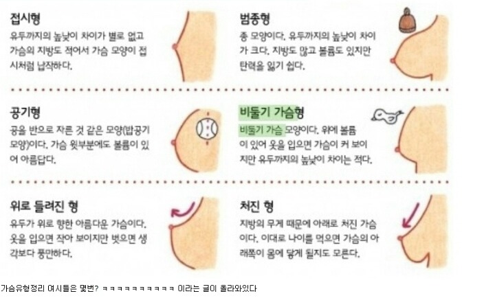 여자들 가슴 유형.jpg | 인스티즈