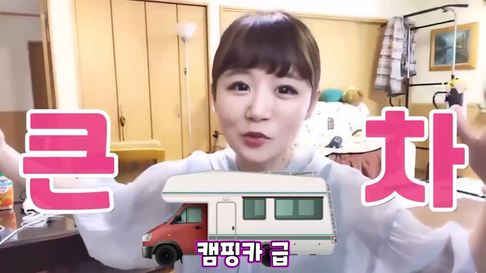 [스압주의] 일본인 캣맘 유튜버 1편 - 포크레인으로 마당 갈아엎음 | 인스티즈