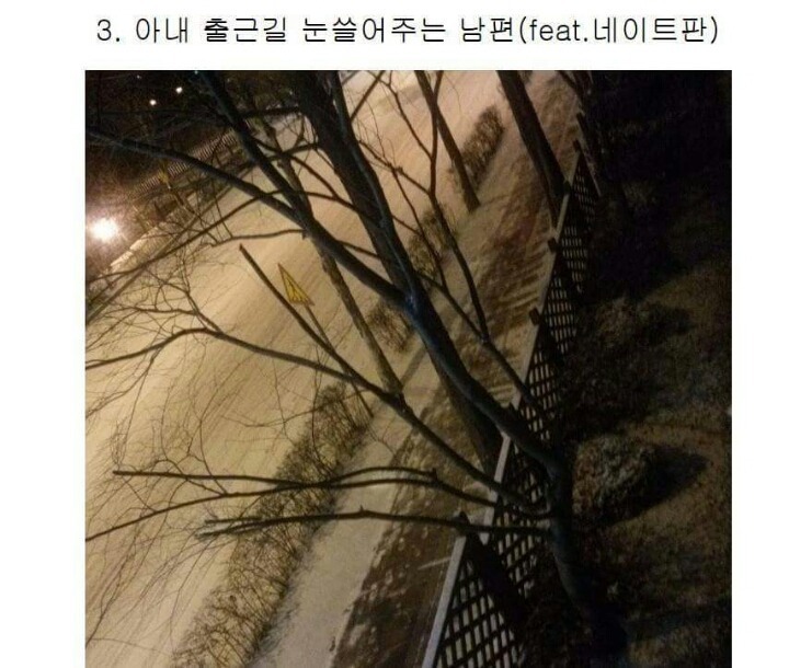 네이트판 4대 모두의 이상형 남편(feat.귀여움폭팔,사랑꾼들 주의) | 인스티즈