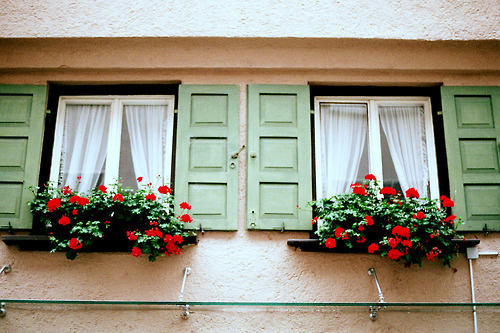  살아 있어야 할 이유 | 인스티즈