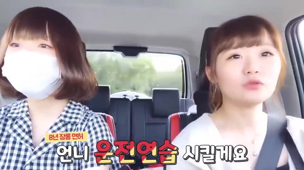 [스압주의] 일본인 캣맘 유튜버 1편 - 포크레인으로 마당 갈아엎음 | 인스티즈