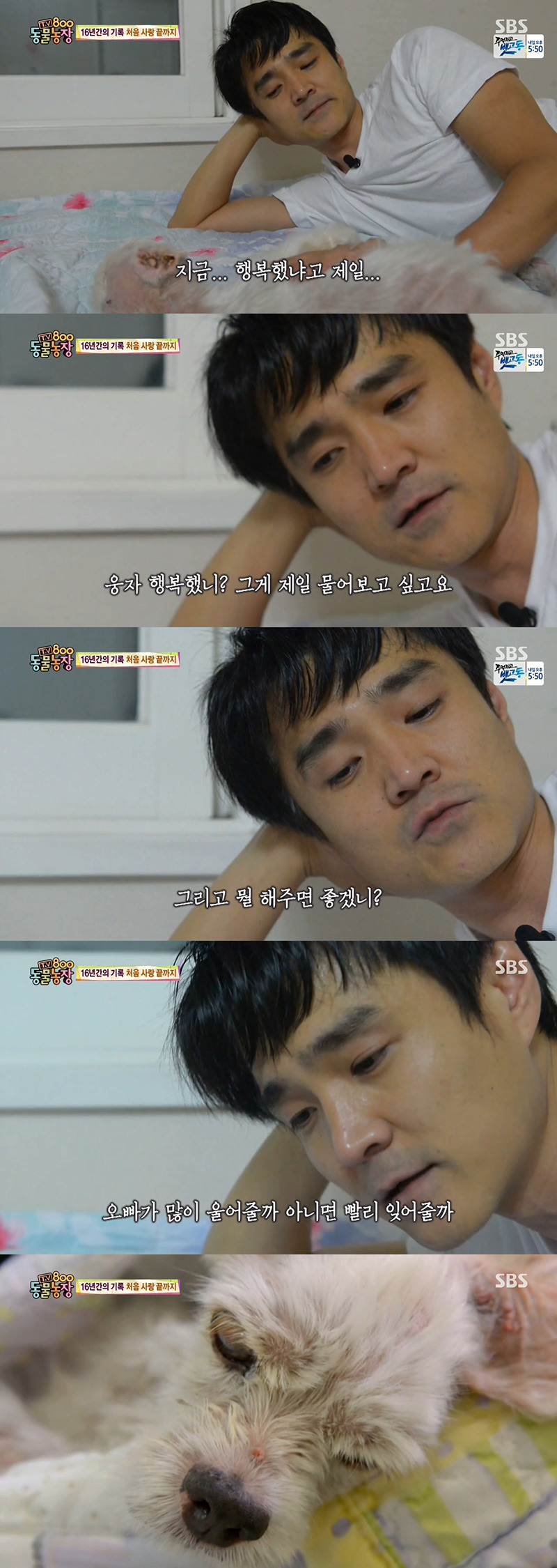 동물농장이 낳은 최고의 스타견 웅자 근황 | 인스티즈