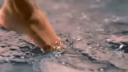 재미로 보는 해외스타 향수 광고 모음 (데이터주의) | 인스티즈