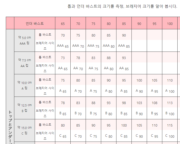 일본와 한국의 컵 사이즈는 다르다? | 인스티즈