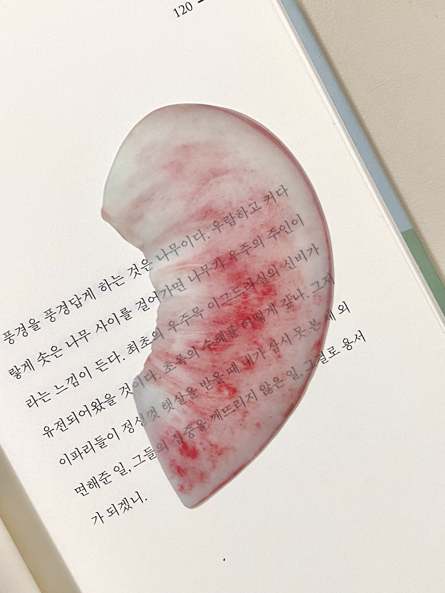 예쁘고 신기한 옥토 작가님 책갈피 모음 | 인스티즈