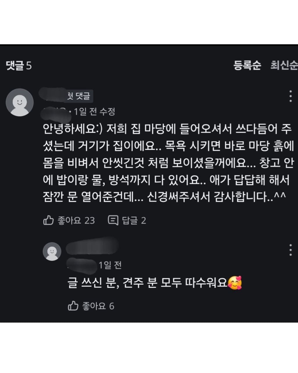 뒷문에 리트리버가 버려져 있습니다 | 인스티즈