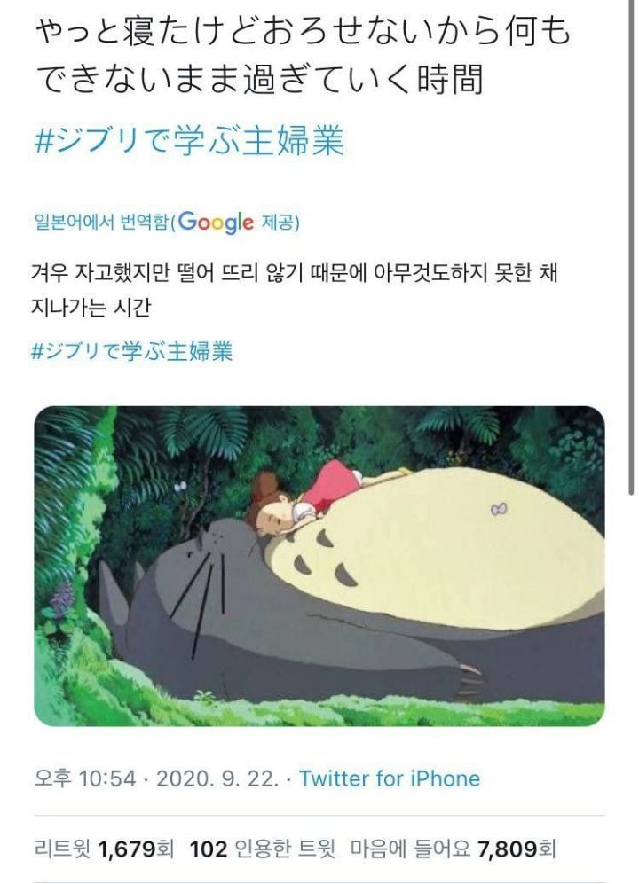 일본 주부들의 지브리 밈.jpg | 인스티즈