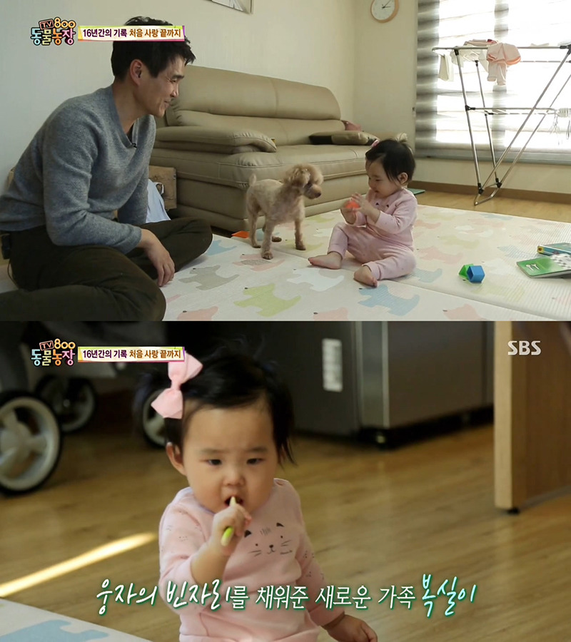 동물농장이 낳은 최고의 스타견 웅자 근황 | 인스티즈