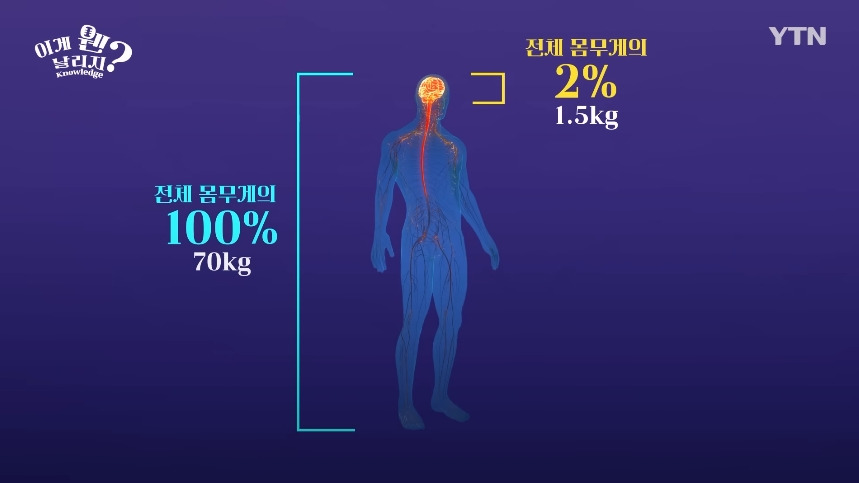 혈당 관리 안하면 빨리 늙는 이유.jpg | 인스티즈