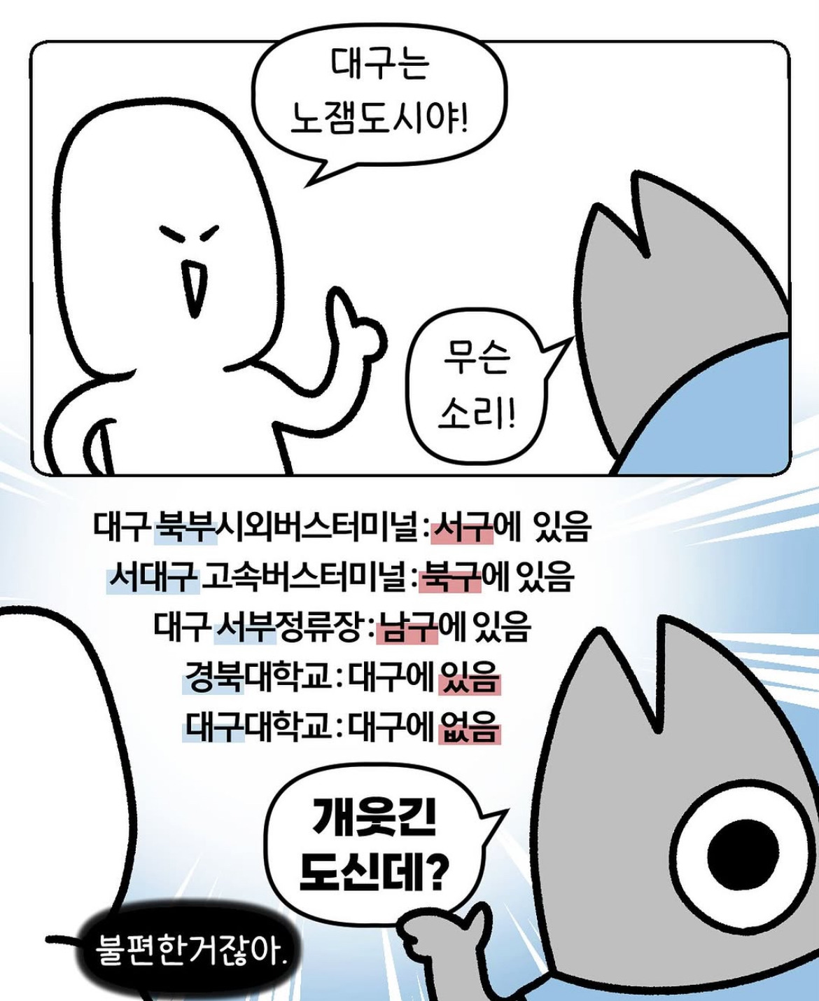 대구는 노잼도시야!!! | 인스티즈