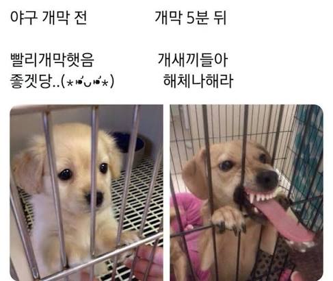 오늘 오후부터 나타날 화가 많은 사람들 | 인스티즈