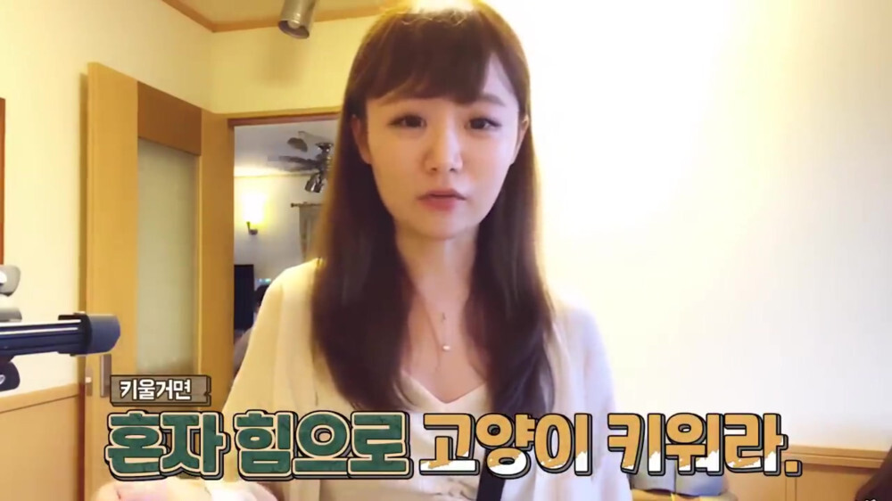 [스압주의] 일본인 캣맘 유튜버 1편 - 포크레인으로 마당 갈아엎음 | 인스티즈