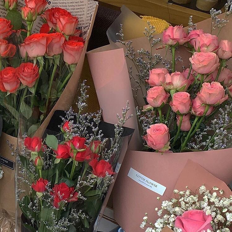 다시 봄이 오면 너는 또 봄일까 | 인스티즈