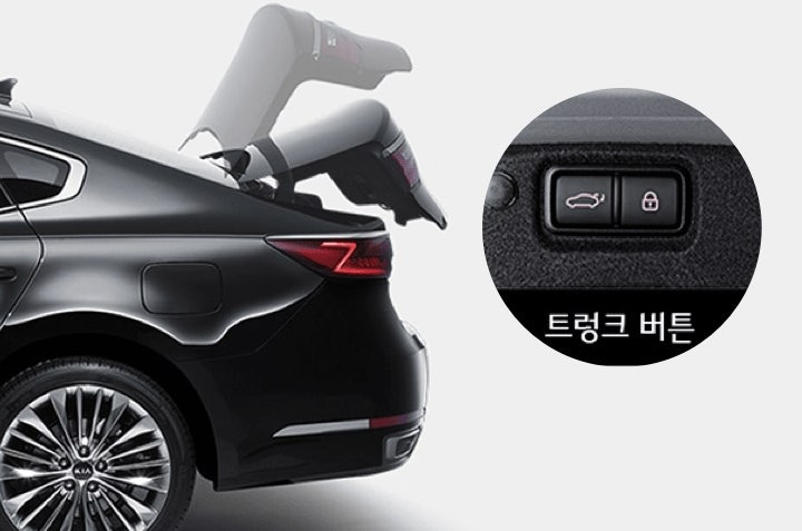 자동차 옵션 중, 절대로 포기 못하는 옵션은? | 인스티즈