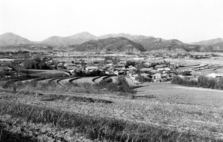 1960년대 대한민국 이모저모.jpg | 인스티즈