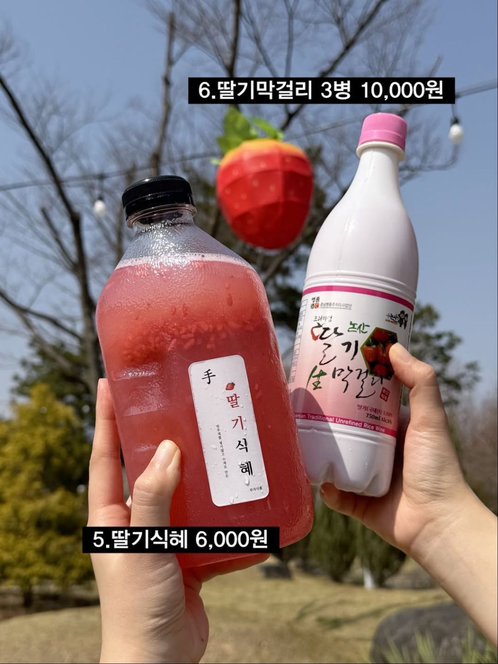 논산딸기축제에서 판매 한다는 딸기 먹거리 | 인스티즈