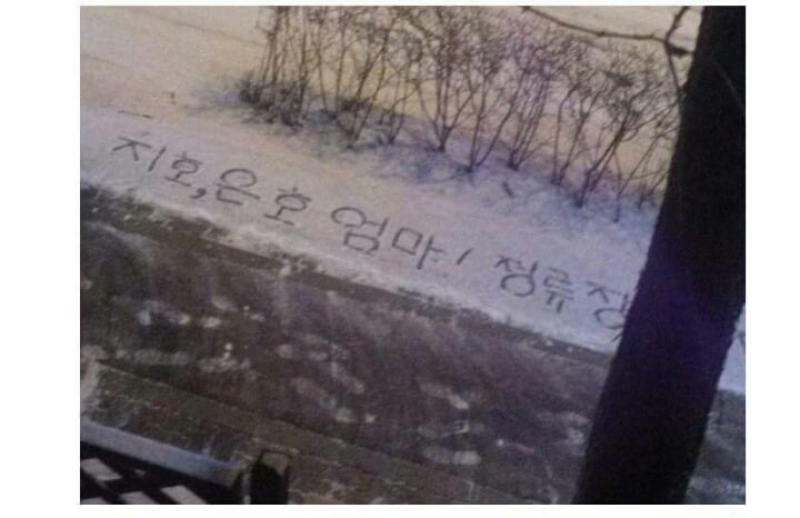 네이트판 4대 모두의 이상형 남편(feat.귀여움폭팔,사랑꾼들 주의) | 인스티즈