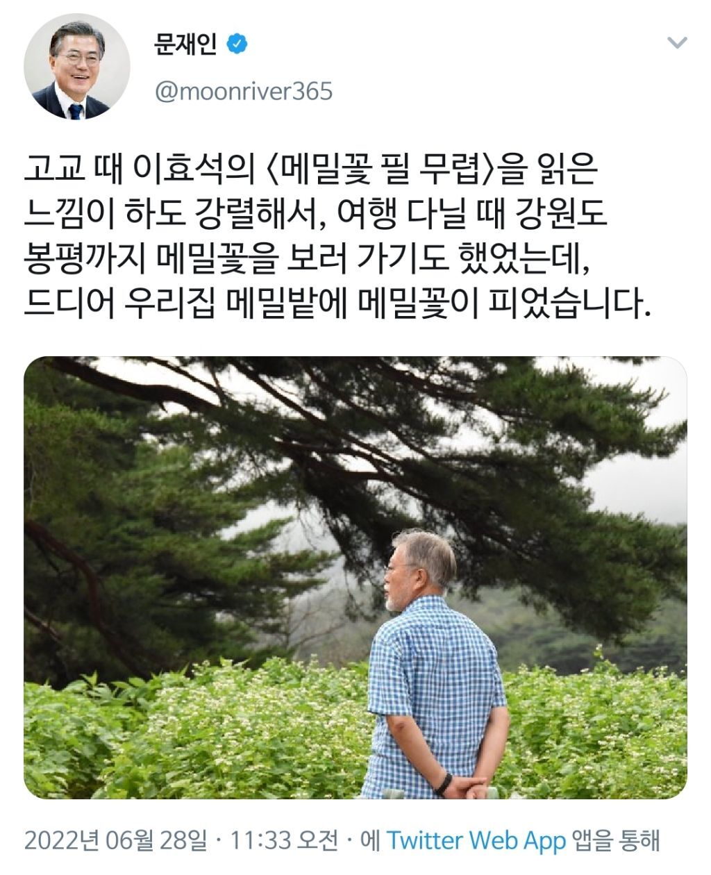 별안간 벅차오른 ISTP | 인스티즈